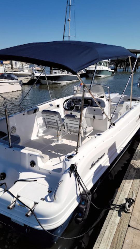 "Betty Ruth II" Charter in GA | Hurricane 236 Sundeck Center Console 