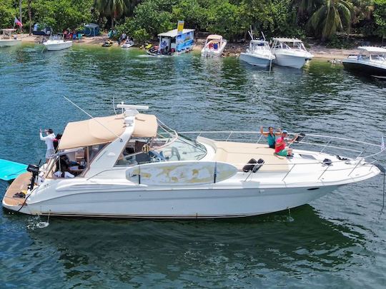 SEA RAY SUNDANCER À 44 MÈTRES DE MIAMI !