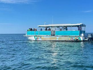 Emerald Coast Dolphin & Snorkel Tour