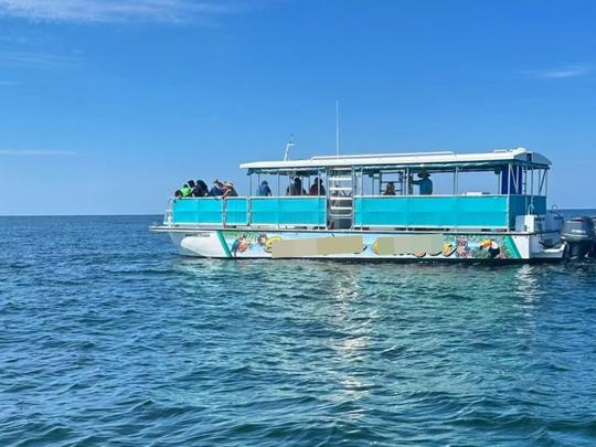 Emerald Coast Dolphin & Snorkel Tour