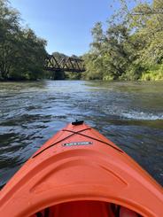 Explore the scenic Toccoa River through north Georgia by kayak