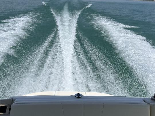 Bateau à moteur et tubing amusants sur le lac Canyon