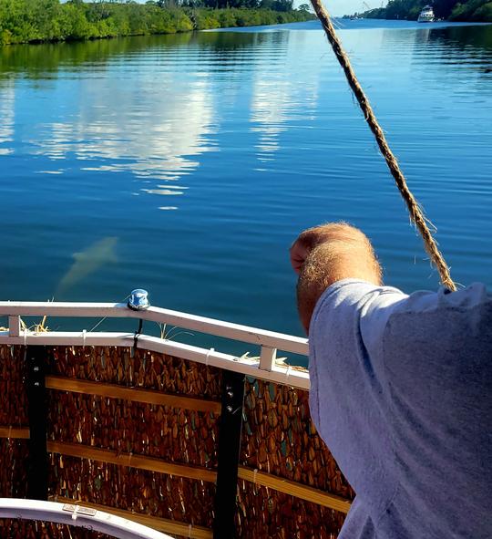 Dolphin & Manatee Sightseeing Cruise in Cocoa Beach, Florida