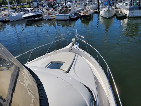 44ft Silverton Cruising Yacht for fun & fuel included!