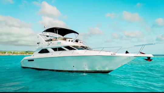 Aluguel de iates particulares de luxo em Aruba | Sea Ray 440 Express Bridge