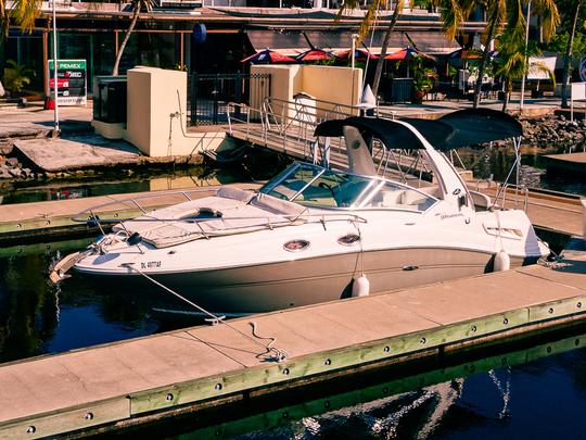 Yacht à moteur Sea Ray Sundancer de 26 pieds 