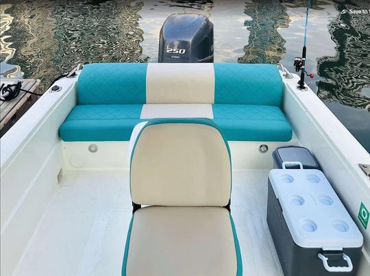 Bateau à moteur Blue Fin 32 pieds à Dubaï