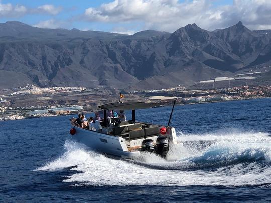 Luxury Speedboat Cruise