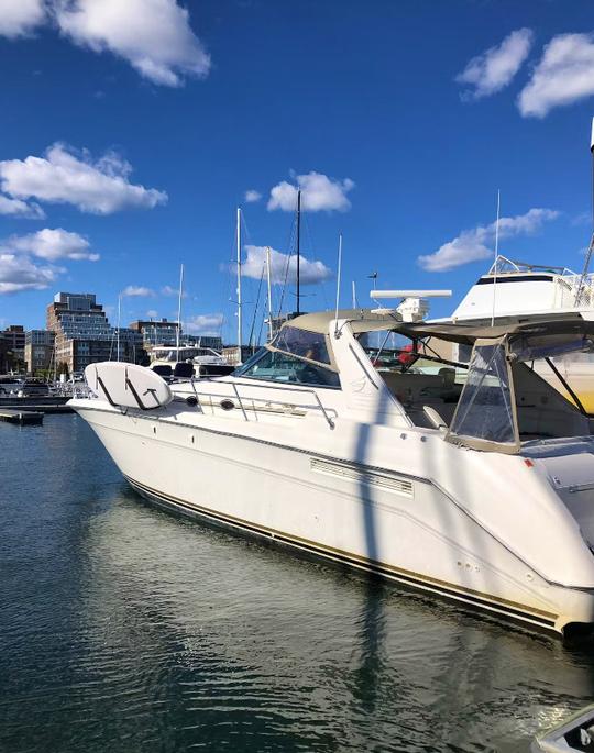 Iate Sea Ray Sundancer de 55 pés em Boston