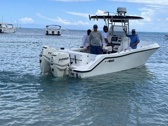 Barco privado en la isla Saona