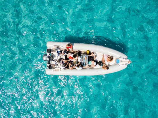 Cruzeiro de um dia para Favignana e Levanzo - Ilhas Egadi 