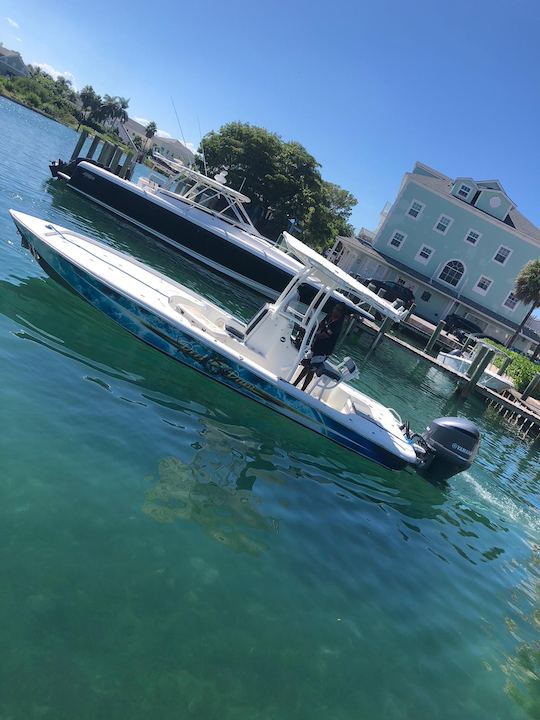 🎣, pacote para porcos nadadores, mergulho com snorkel e tartarugas