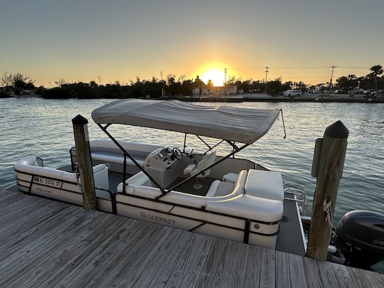 23ft Pontoon Boat with 115 Suzuki Hp engine in Nokomis