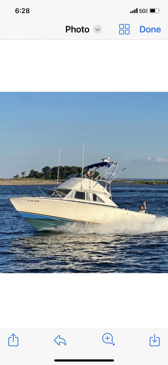 Visitez la Gold Coast du Connecticut, pêchez ou organisez une fête en bateau et nagez