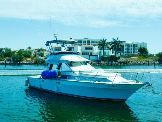 Mediterraneo 40ft Yacht & SportFish Charter in Mazatlan