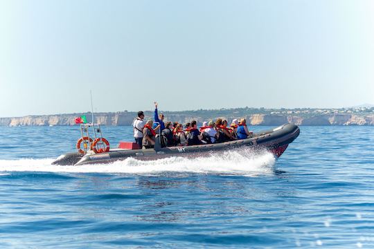 Delfines de Rib Boat y cuevas de Benagil - Ocean Destiny