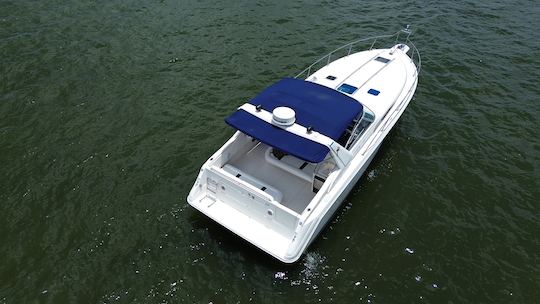 Rent this beautiful 40ft Sea Ray Sundancer Motor Yacht