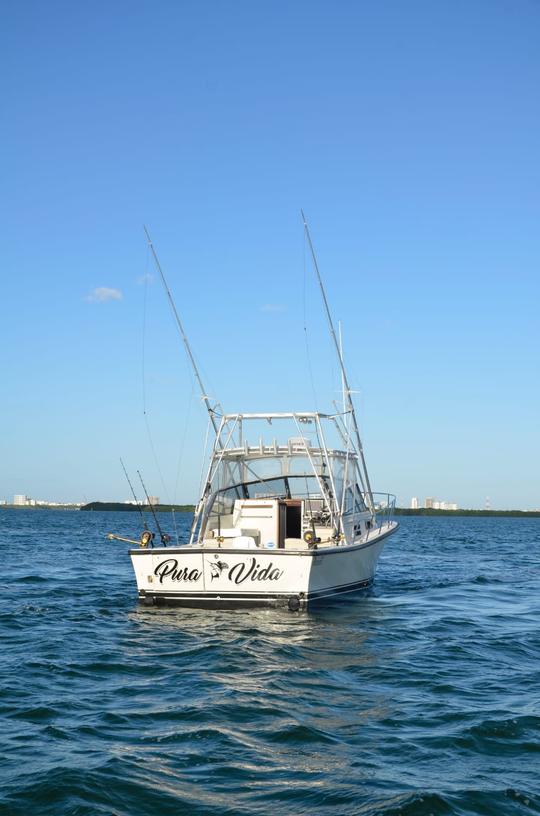 Carta de pesca de 31 pés em Cancún, Quintana Roo