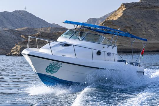 Experiencia exclusiva de navegación: observación de delfines y mejora del buceo