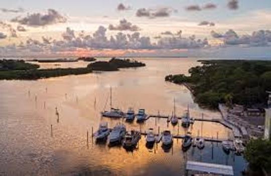 Passeios de aerobarco em Tarpon Springs! Anclote Key, manguezais, praias