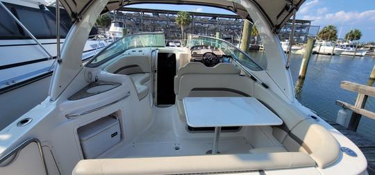 Cabin Cruiser de 31 pieds avec capitaine