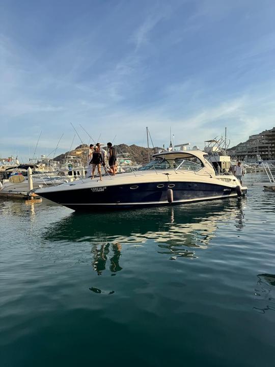 Sea Ray Sundancer de 43 pies en Cabo San Lucas