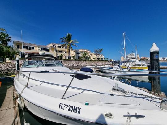 Charter Sea Ray 33ft Motor Yacht 