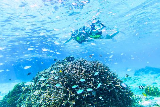 Croisière d'une journée en catamaran de luxe de 46 pieds à Miyakojima : votre escapade privée sur une île