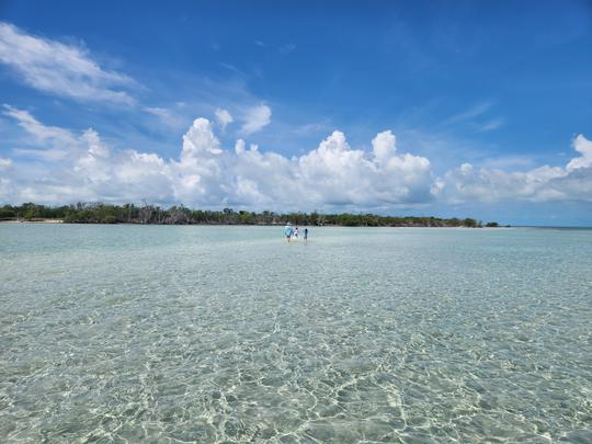 ponton de luxe de 25 pieds pour des excursions sur Sandbar, Dolphin et Sunset. Adapté aux chiens 