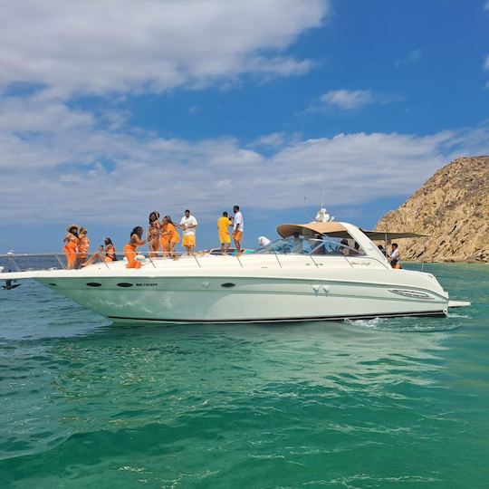 Magnifique yacht de 40 pieds à Los Cabos