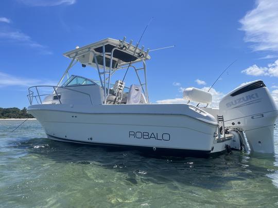 Pêche, croisière ou plongée avec tuba sur le Robalo de 25 pieds à Palm Beach