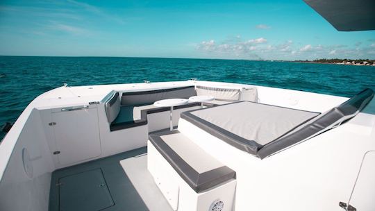 45' Power Catamaran in Casa de Campo, La Romana