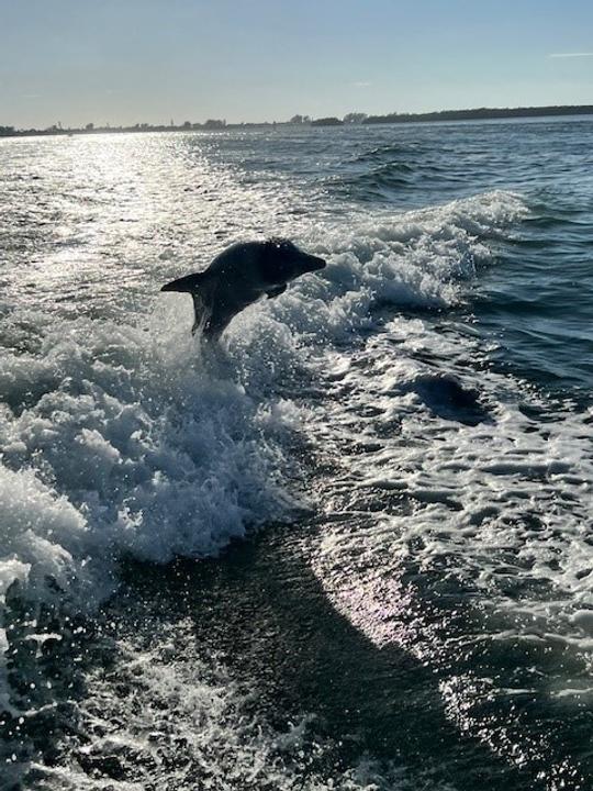 Sarasota Coastal Boat Tours en un nuevo Seahunt Ultra 2024