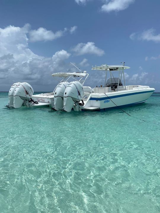 Visite des 4 îles de l'île Rose, nagez avec des cochons, des tortues et faites de la plongée avec tuba sur les récifs coralliens 