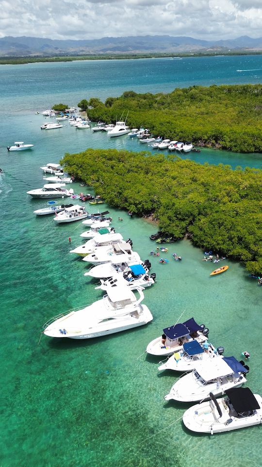 Découvrez le paradis du sud de l'île à bord de notre bateau Bayliner 2659 Rendezvous !