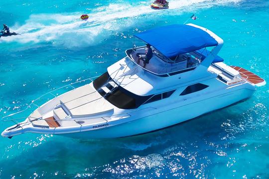 Deluxe Yacht 48ft with FlyBridge in Cancun