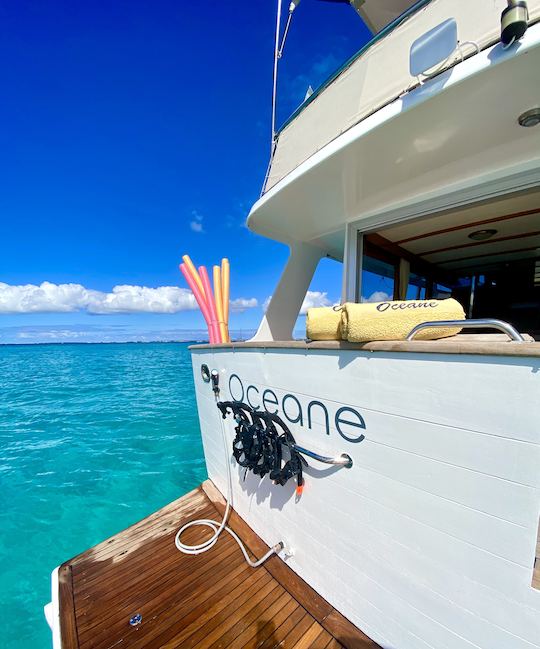 Yacht à moteur luxueux et spacieux de 55 pieds, découvrez Anguilla, Saint-Martin, Saint-Martin