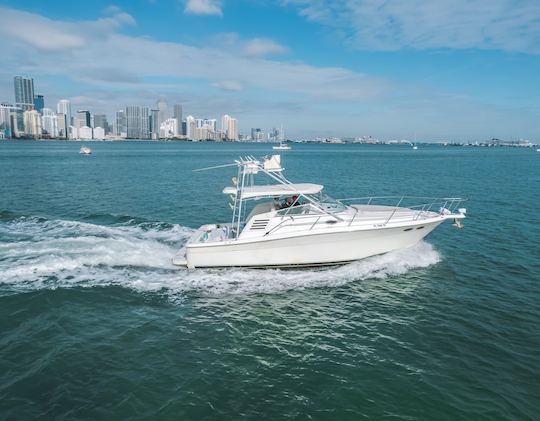 SEARAY 38’ YACHT FOR RENT 1 HOUR FREE EVERY DAY!!