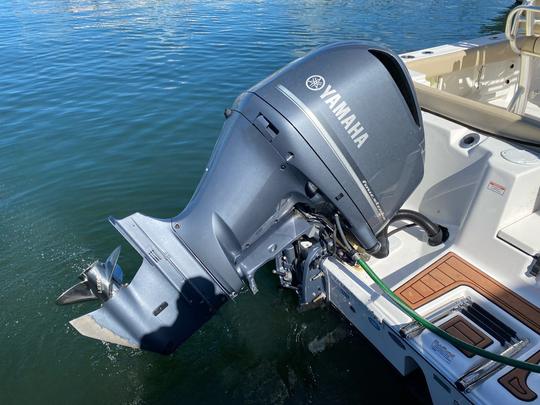 Sea Fox 24 Commander Great for Cruising, Sand Bar, or Fishing