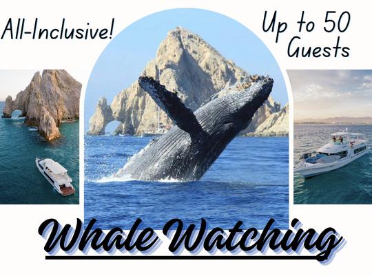 75' Mega Yacht in Cabo — Special Celebrations & Whale Watching! Up to 50 Guests!