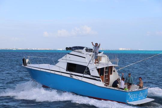 Tour de pesca Bertram de 35 pies en Cancún, Quintana Roo