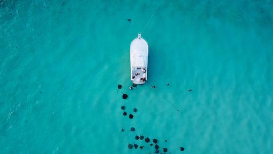 Charter privado personalizado, Stingray City, mergulho com snorkel em recifes de coral, Starfish 34 pés