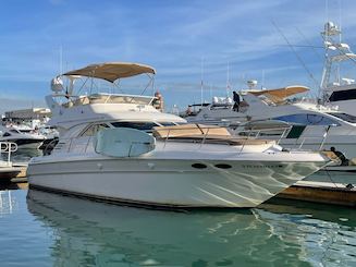 Belo Sea Ray Flybridge de 45 pés disponível em Cabo San Lucas,