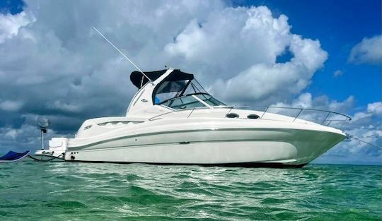 $275 HR | 8 people | Sea Ray 330 Sundancer Yacht 