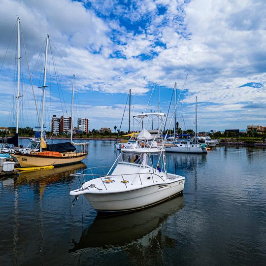 Location de yacht et de pêche sportive Luhrs de 36 pieds à Mazatlan