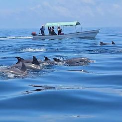 Viagem de mergulho com snorkel na ilha de Mnemba em Zanzibar