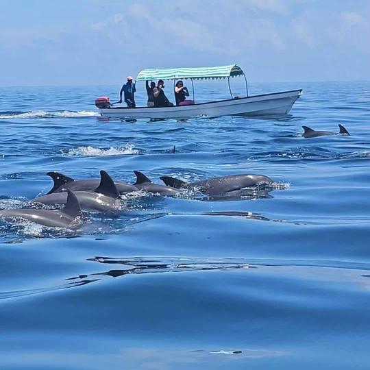 Excursión de snorkel a la isla de Mnemba en Zanzíbar