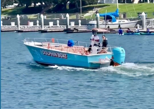 Venha a bordo do Dolphin Boat! Uma divertida excursão de 90 minutos!