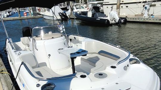 "Betty Ruth II" Charter in GA | Hurricane 236 Sundeck Center Console 