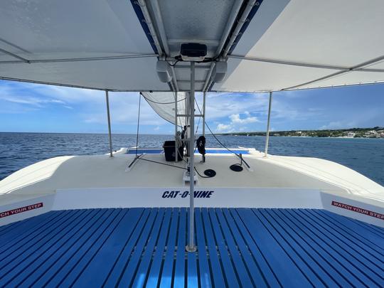 44ft Sailing Catamaran Charter in Bridgetown, Saint Michael